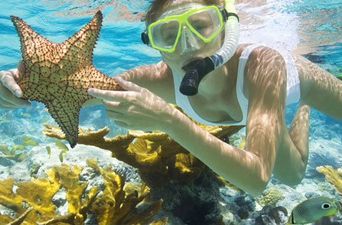 Snorkeling