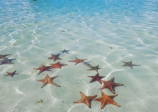 Starfish Point Grand Cayman
