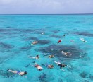 Snorkeling in the Cayman Islands