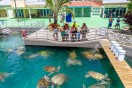 Grand Cayman Turtle Centre