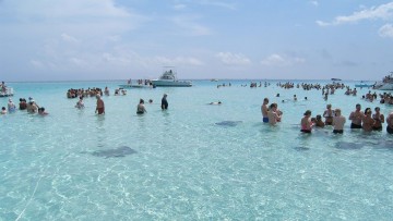 gallery-img13