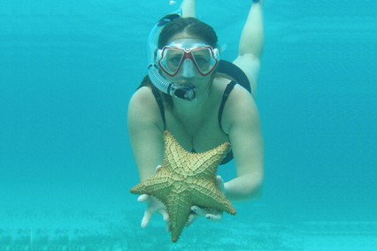 Starfish Point Tour Grand Cayman