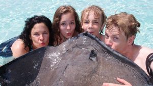 grand cayman island stingray city tours