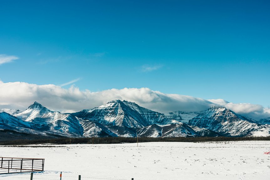 grand cayman ziplining tours