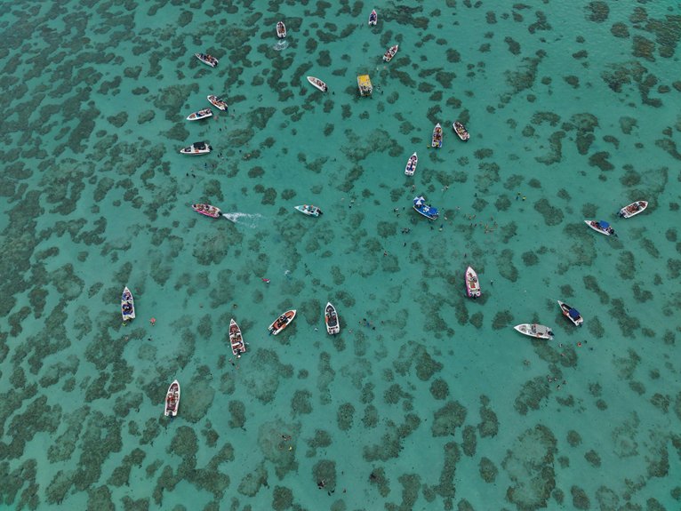 night snorkeling in cayman
