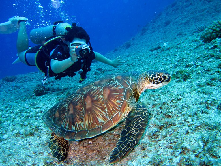 premier grand cayman dive sites