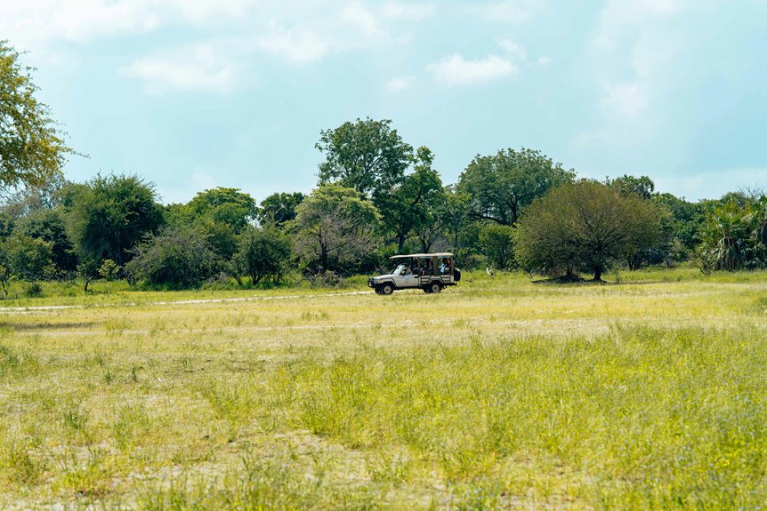 corporate group tour packages
