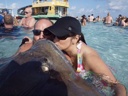 2022-03-16-15-45-42-gallery-img39