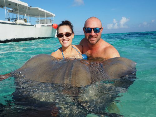 Stingray