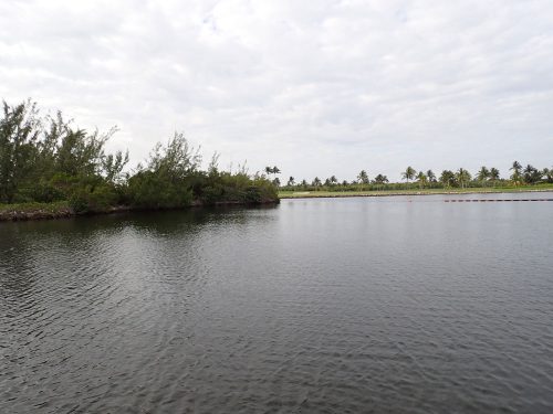 P3100001