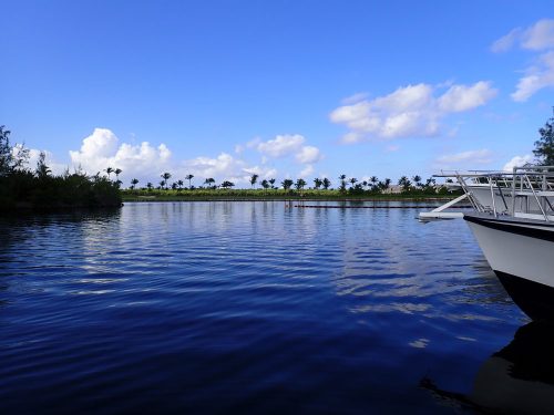 P8100001
